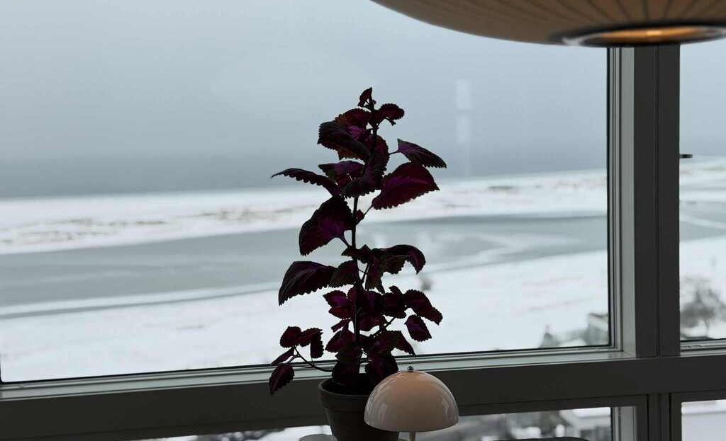 att.NliWoNMsdqIE7F8qf3LA_OkI8wimxdcYoeQdQIVzZng-1024x623